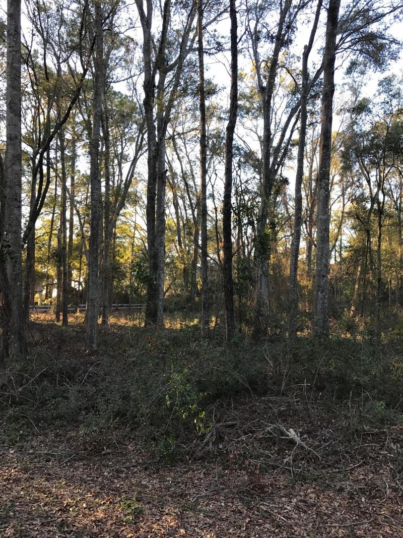 2428 Rockland Ave, Wadmalaw Island, SC 29487