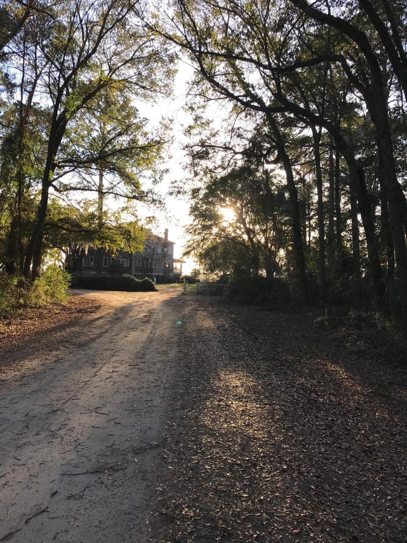 2428 Rockland Ave, Wadmalaw Island, SC 29487