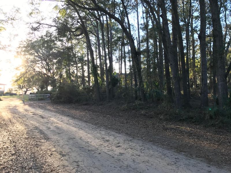 2428 Rockland Ave, Wadmalaw Island, SC 29487