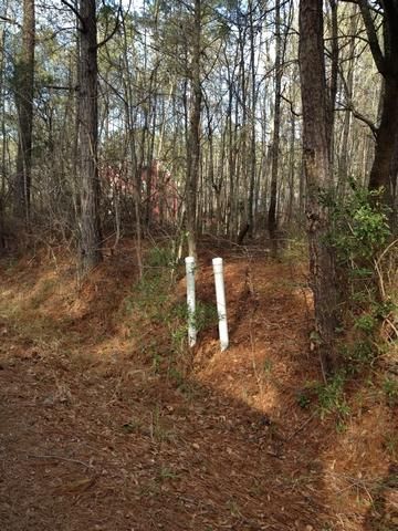 Lot 8 Barons Rd, Summerville, SC 29483