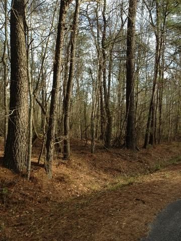 Lot 8 Barons Rd, Summerville, SC 29483