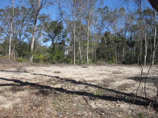 1813 Mitchell St, Edisto Beach, SC 29438