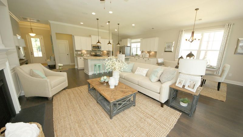 167 Red Knot St, Mount Pleasant, SC 29466