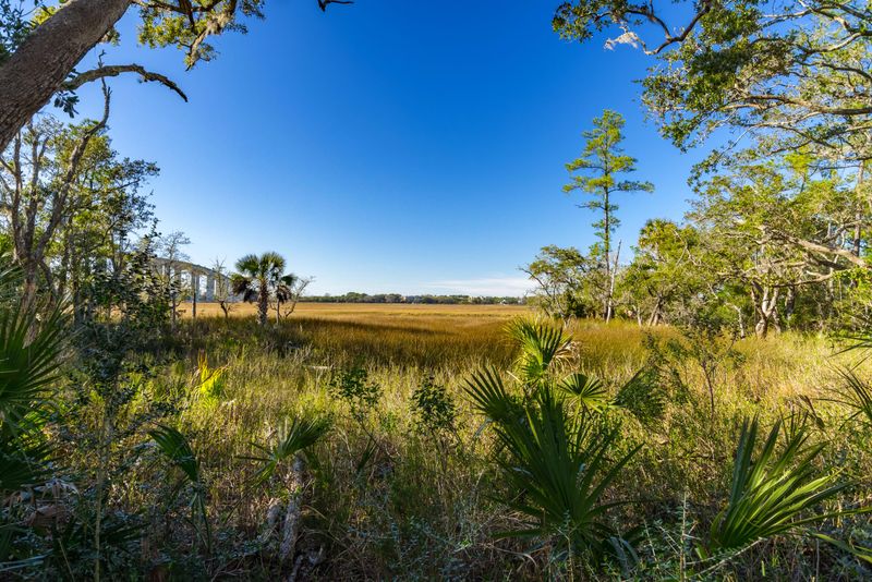 48 Salty Tide Cv, Mount Pleasant, SC 29464