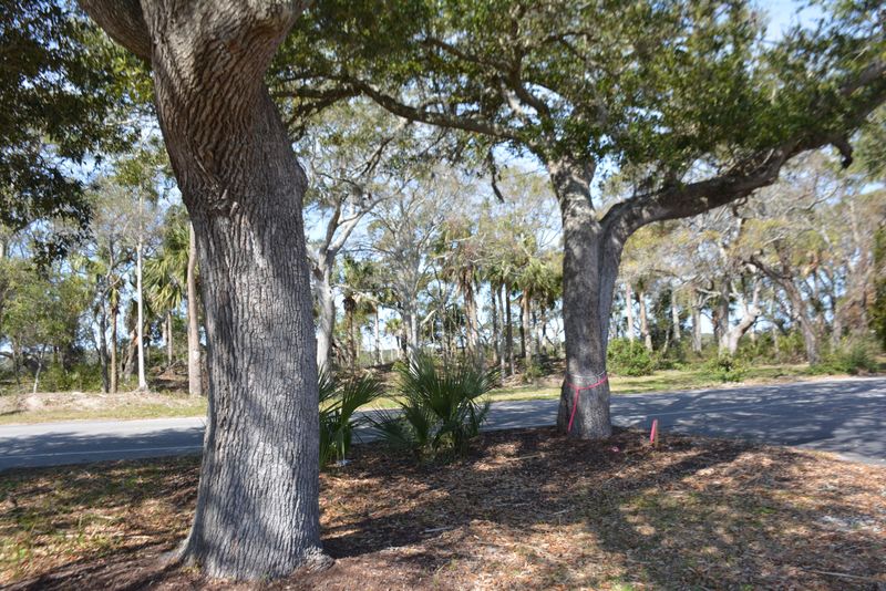 124 Jungle Rd, Edisto Island, SC 29438