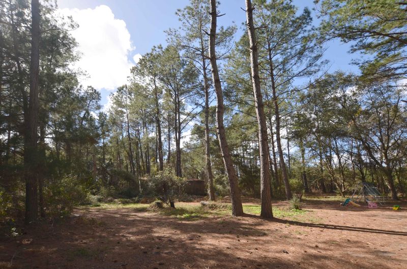 10994 N Highway 17, Mcclellanville, SC 29458