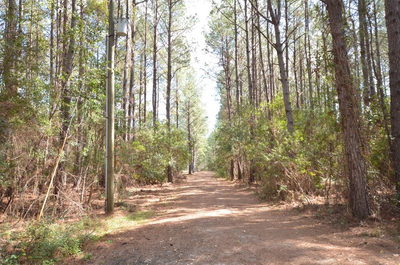 10994 N Highway 17, Mcclellanville, SC 29458