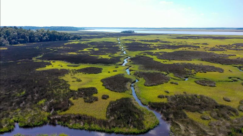 0 Raccoon Island Rd, Edisto Island, SC 29438