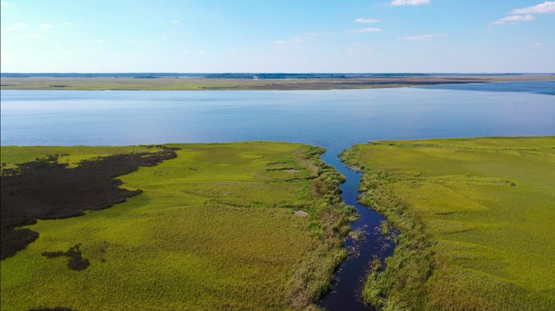 0 Raccoon Island Rd, Edisto Island, SC 29438