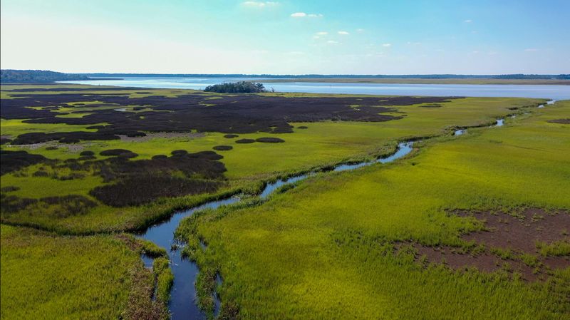 0 Raccoon Island Rd, Edisto Island, SC 29438