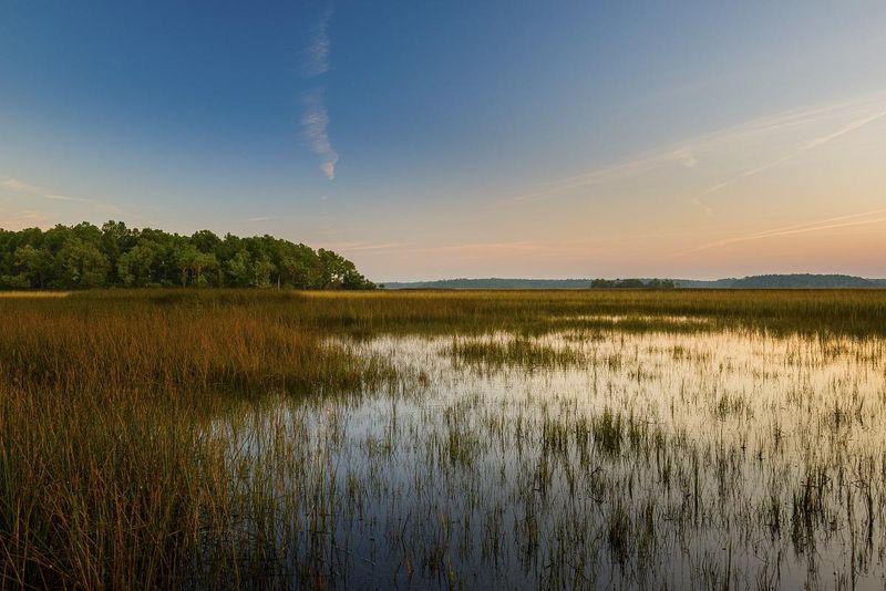 165 Nobels Point, Daniel Island, SC 29492
