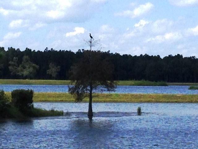 126 Calm Water Way, Summerville, SC 29483