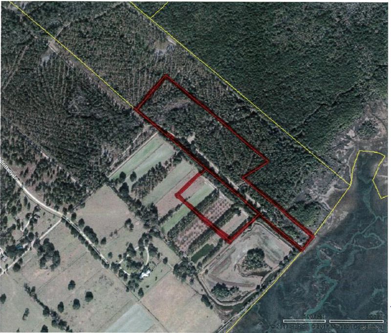 Tracts A-B Pointing Brittany Ln, Mount Pleasant, SC 29429