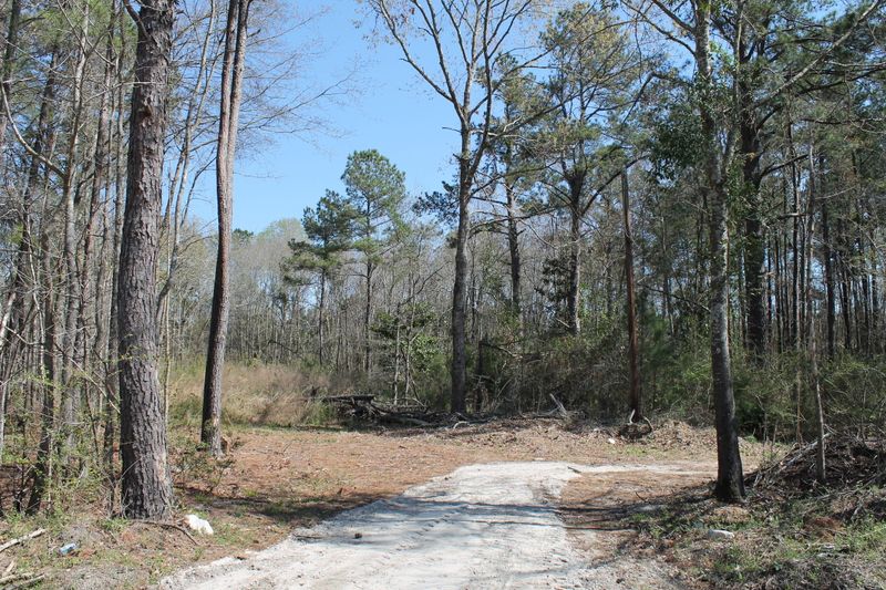 367 Hopkins Dr, Moncks Corner, SC 29461