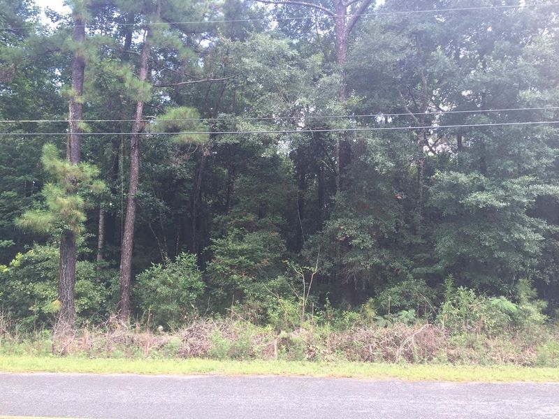 5829 Octavia Ave, Ravenel, SC 29470