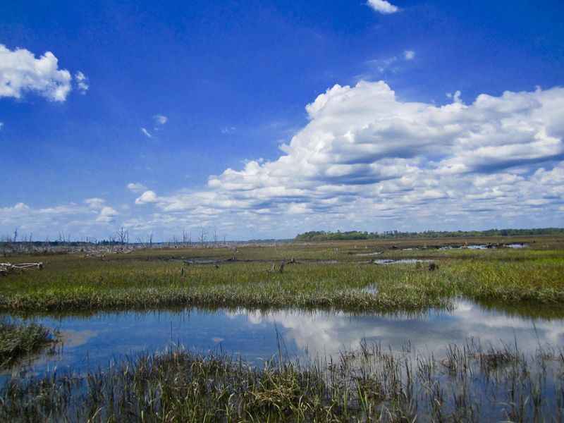 1499 Ravens Bluff Rd, Johns Island, SC 29455