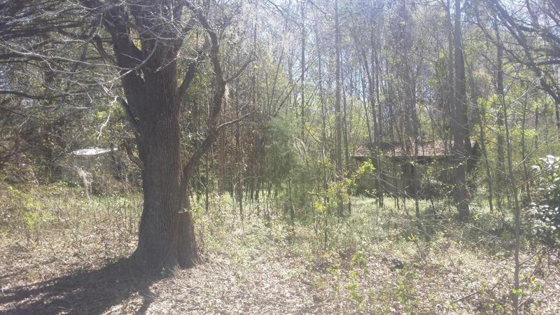 6021 Drayton St, Ravenel, SC 29470