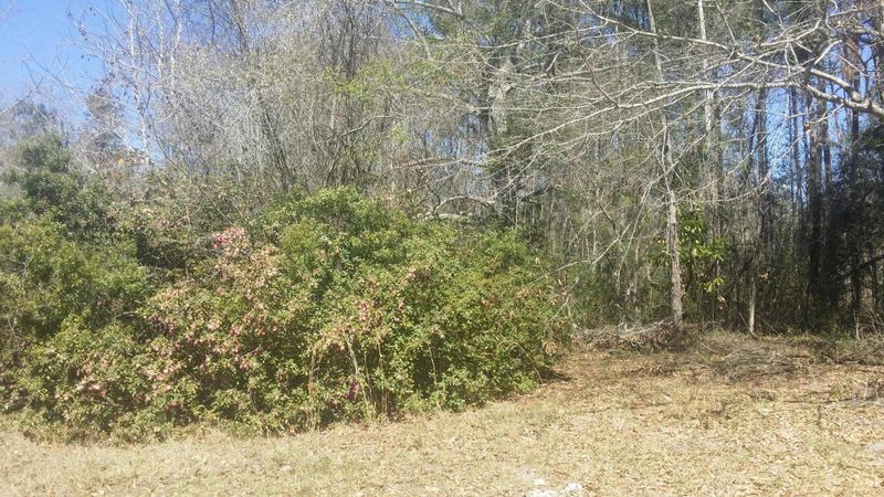 6020 Mellard St, Ravenel, SC 29470