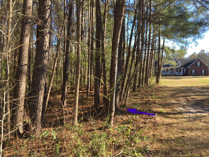 0 Ridge Lake Dr, Summerville, SC 29483