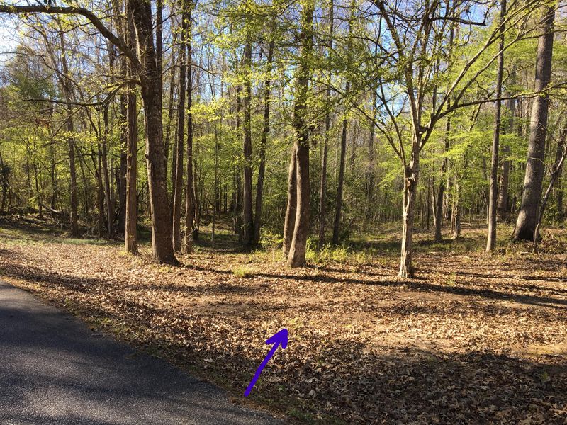 0 Ridge Lake Dr, Summerville, SC 29483