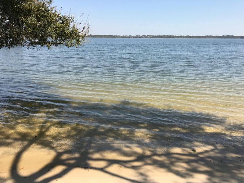 1476 Wando View St, Charleston, SC 29492