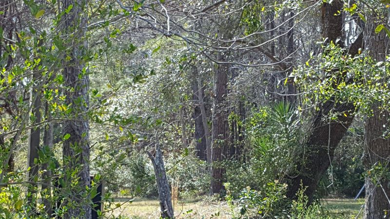 8160 N Highway 17, Mcclellanville, SC 29458