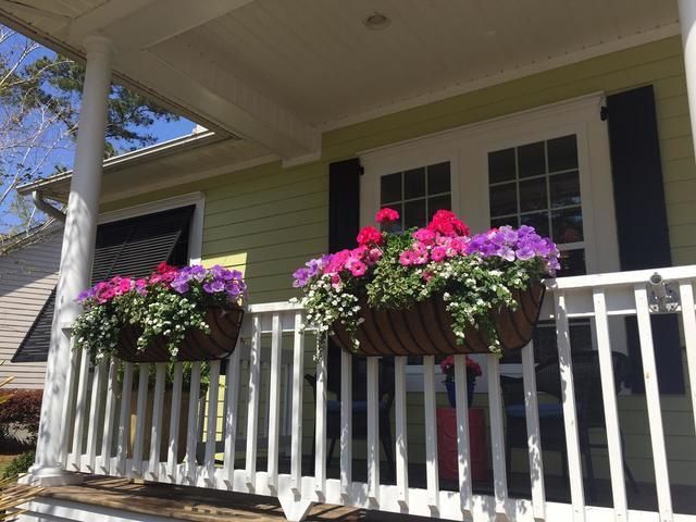 3411 Toomer Kiln Cir, Mount Pleasant, SC 29466