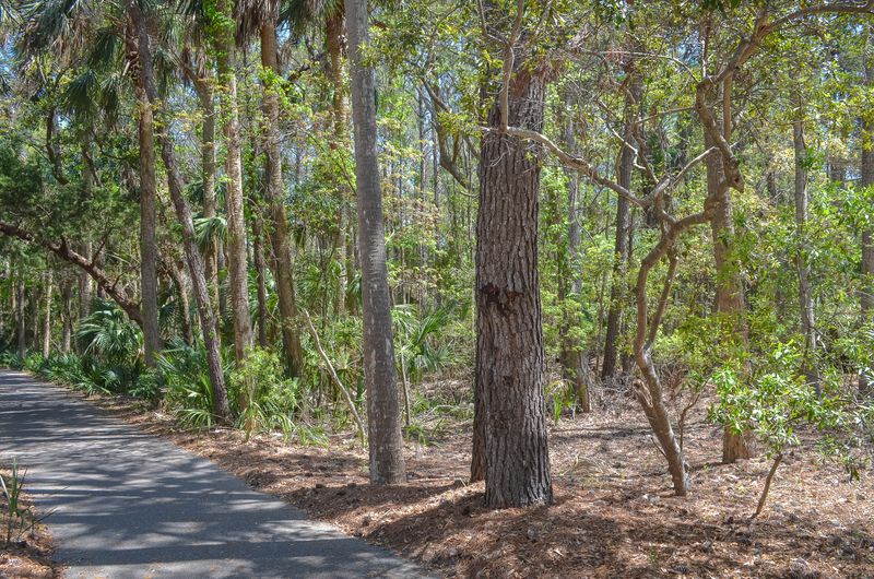 349 Governors Dr, Kiawah Island, SC 29455