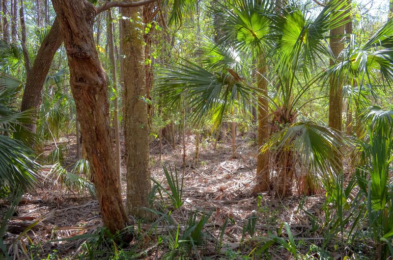 349 Governors Dr, Kiawah Island, SC 29455