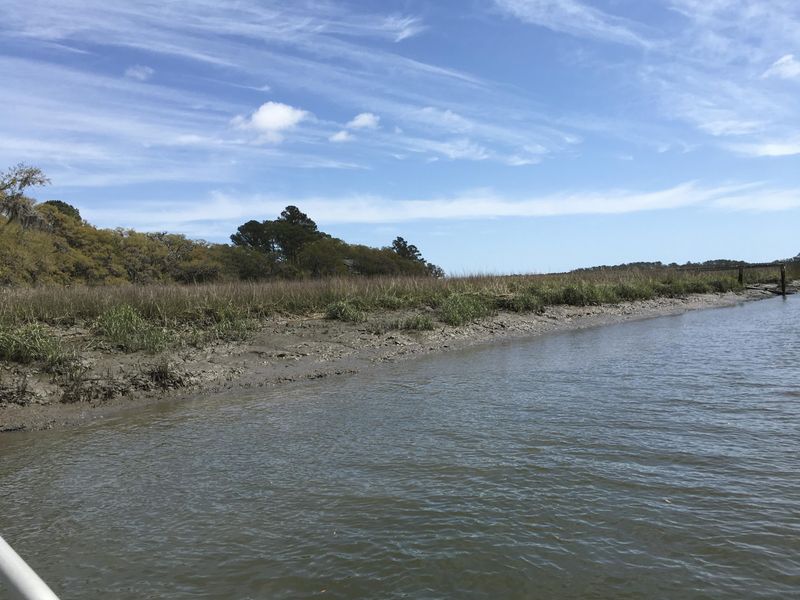 7819 Russell Creek Rd, Edisto Island, SC 29438