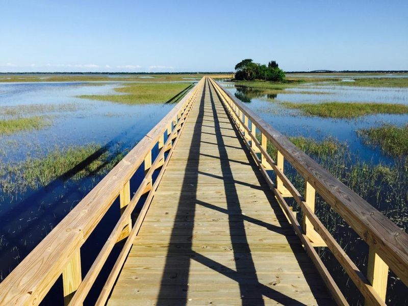 2231 Mother Of Pearl, Mount Pleasant, SC 29466