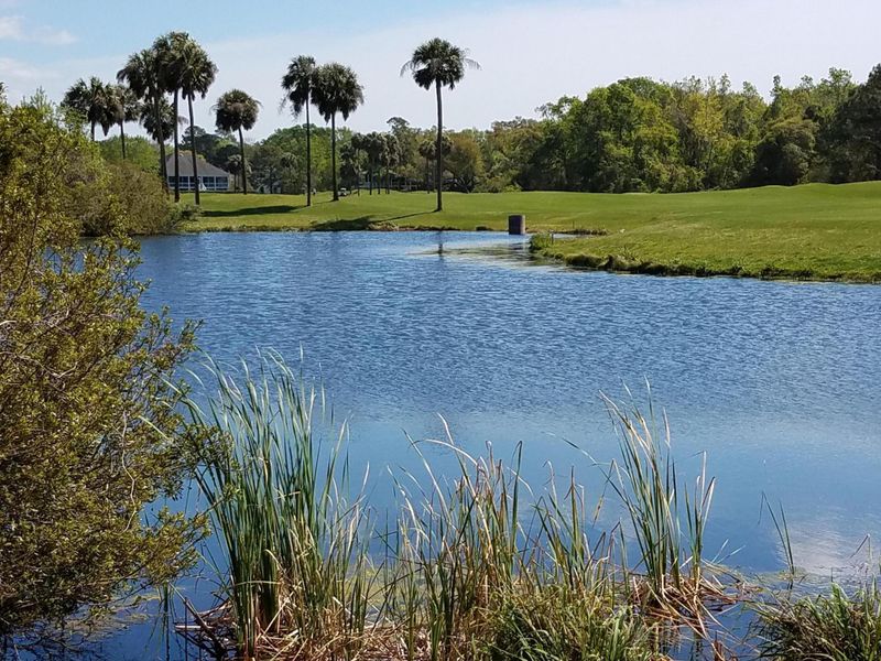 4188 Haulover Dr, Johns Island, SC 29455