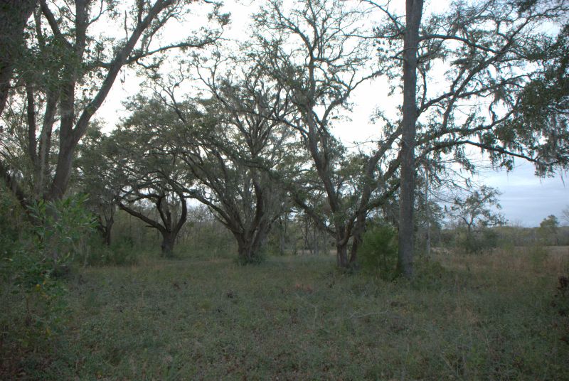 1 Bloody Point Rd, Wadmalaw Island, SC 29487