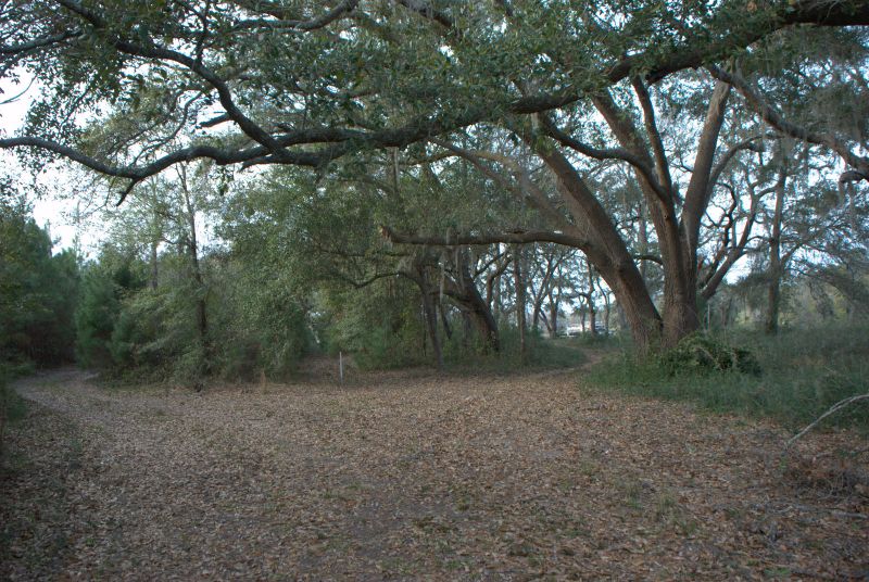 1 Bloody Point Rd, Wadmalaw Island, SC 29487