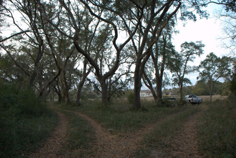 1 Bloody Point Rd, Wadmalaw Island, SC 29487