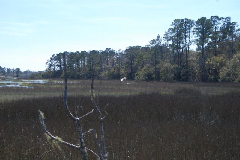 0a Bears Bluff Rd, Wadmalaw Island, SC 29487