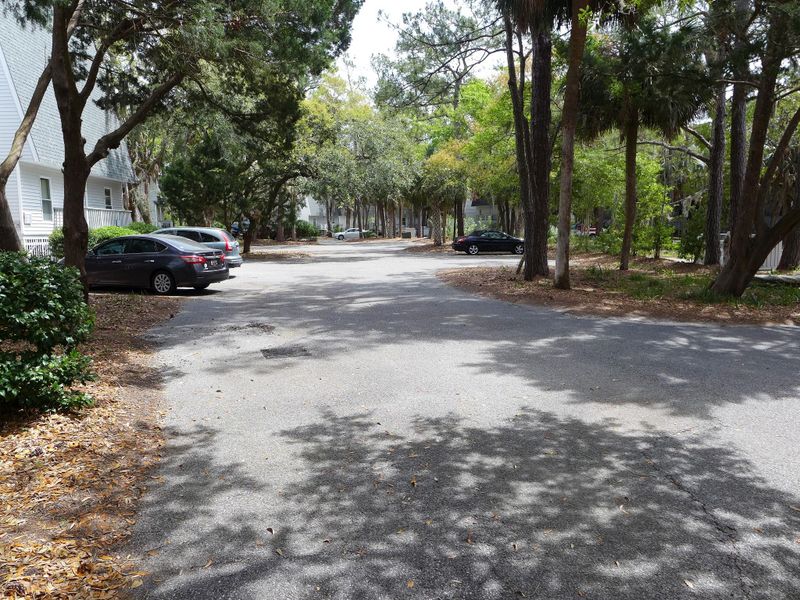 238 Driftwood Ln, Edisto Beach, SC 29438