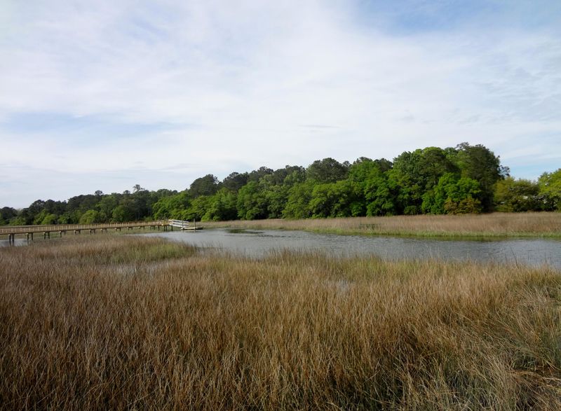 1535 Sea Pines Dr, Mount Pleasant, SC 29466