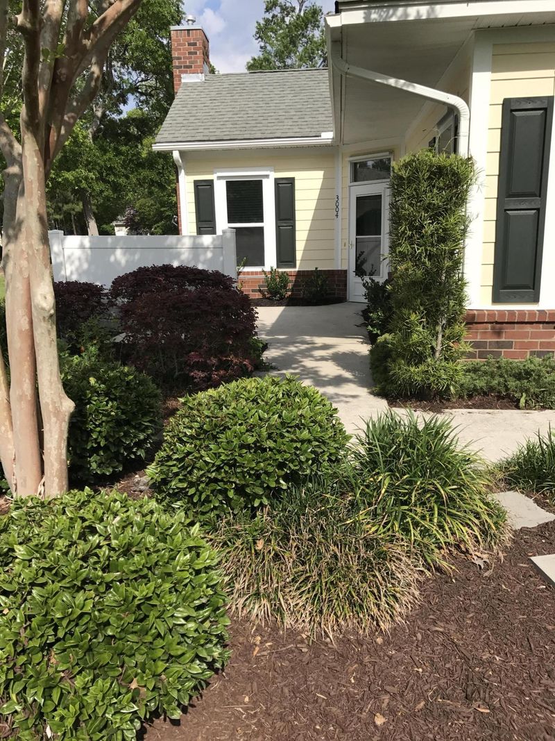 8800 Dorchester Rd #3004, North Charleston, SC 29420
