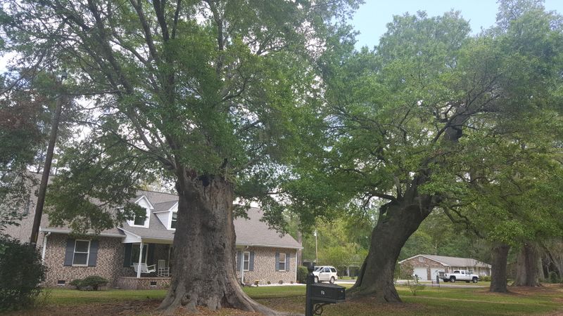 122 The Oaks Ave, Goose Creek, SC 29445