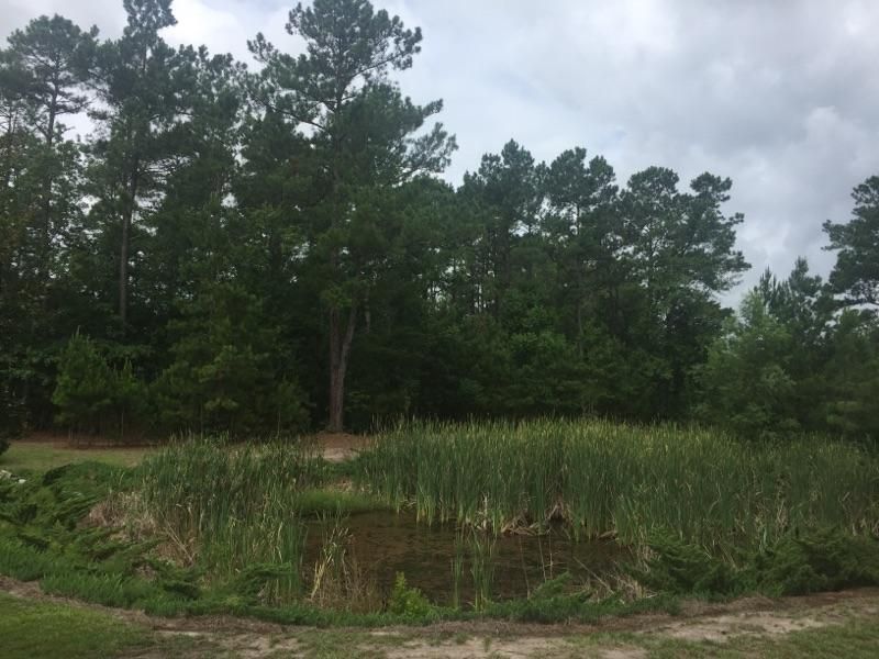 1008 Mt Whitney Dr, Summerville, SC 29483