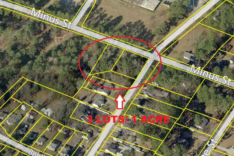 1 Behling St, Saint George, SC 29477