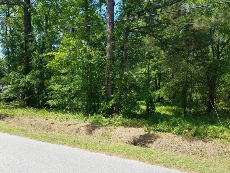 1 Behling St, Saint George, SC 29477