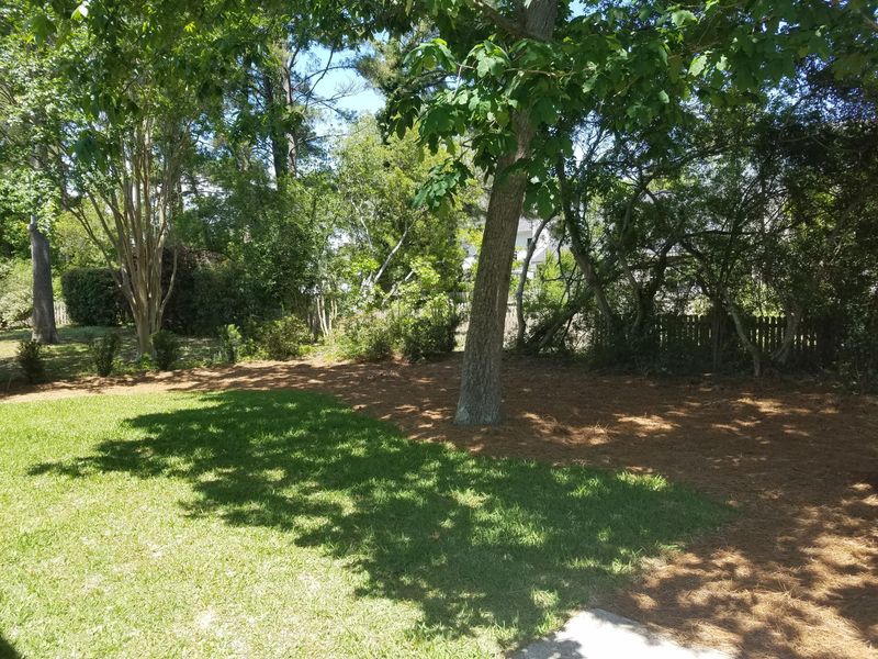 494 Antebellum Ln, Mount Pleasant, SC 29464