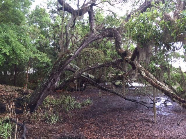 8471 Middleton Point Ln, Edisto Island, SC 29438