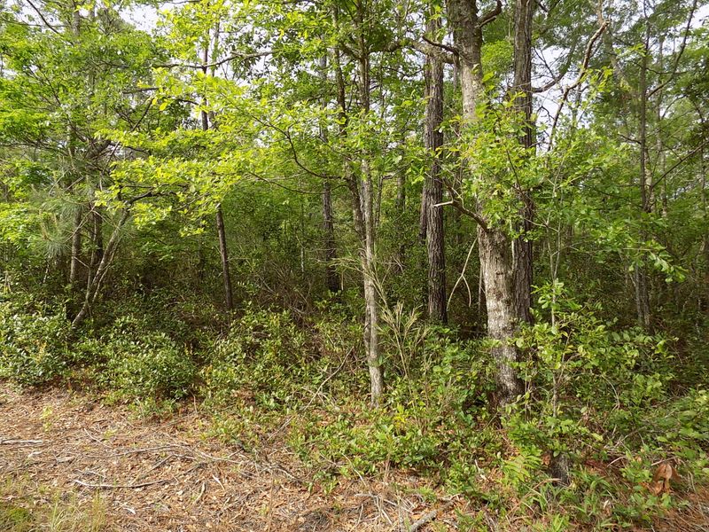 0 Donnelly Ln, Johns Island, SC 29455