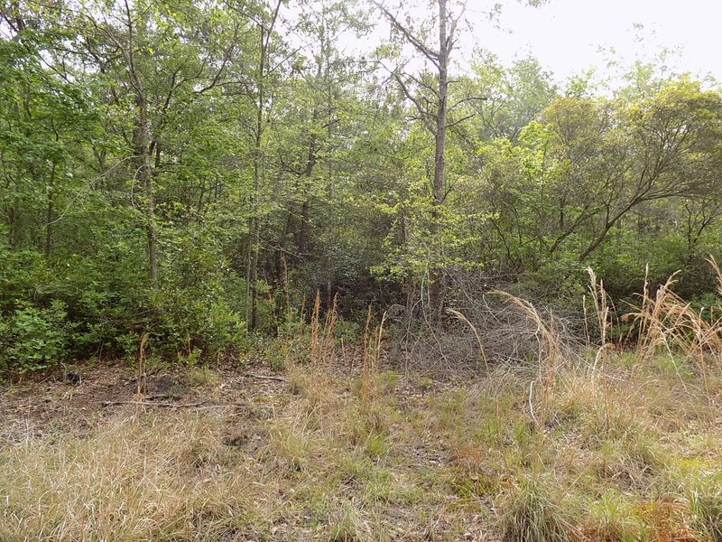 0 Donnelly Ln, Johns Island, SC 29455