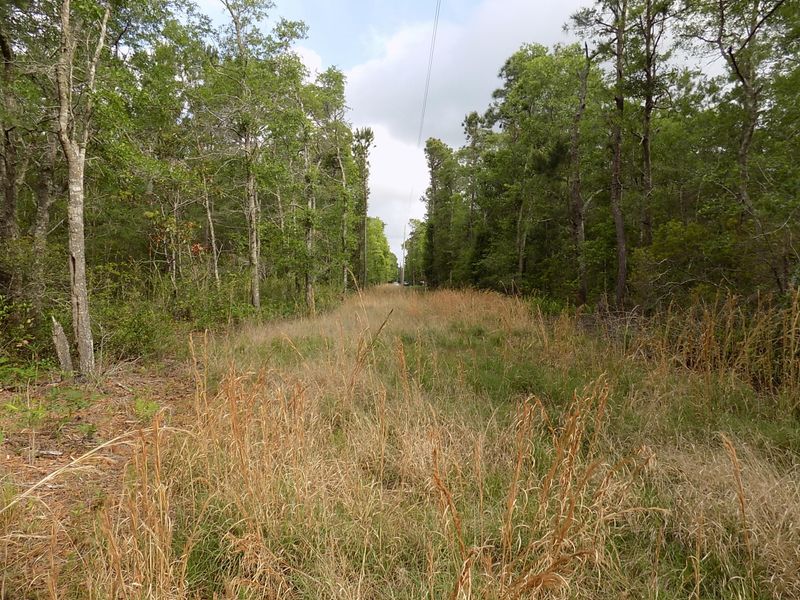0 Donnelly Ln, Johns Island, SC 29455