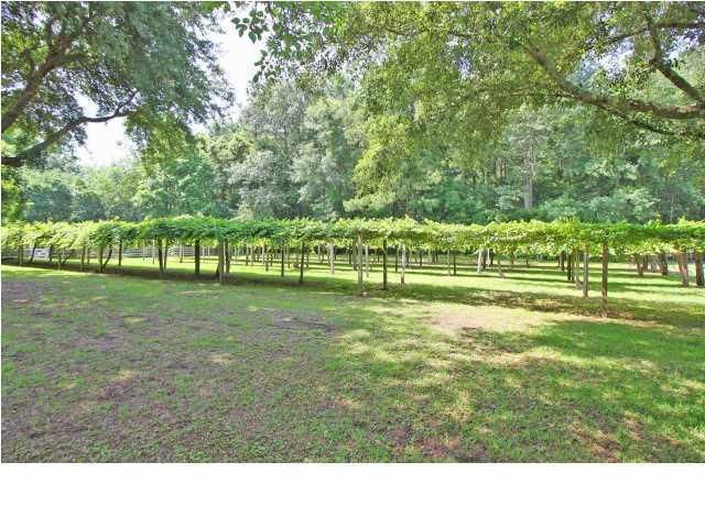 3050 Grape Ln, Mount Pleasant, SC 29466