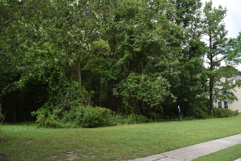 183 Historic Dr, Mount Pleasant, SC 29464